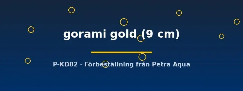 Näsets Ciklidhobby Osphronemus gorami gold gurami 9 cm jätte