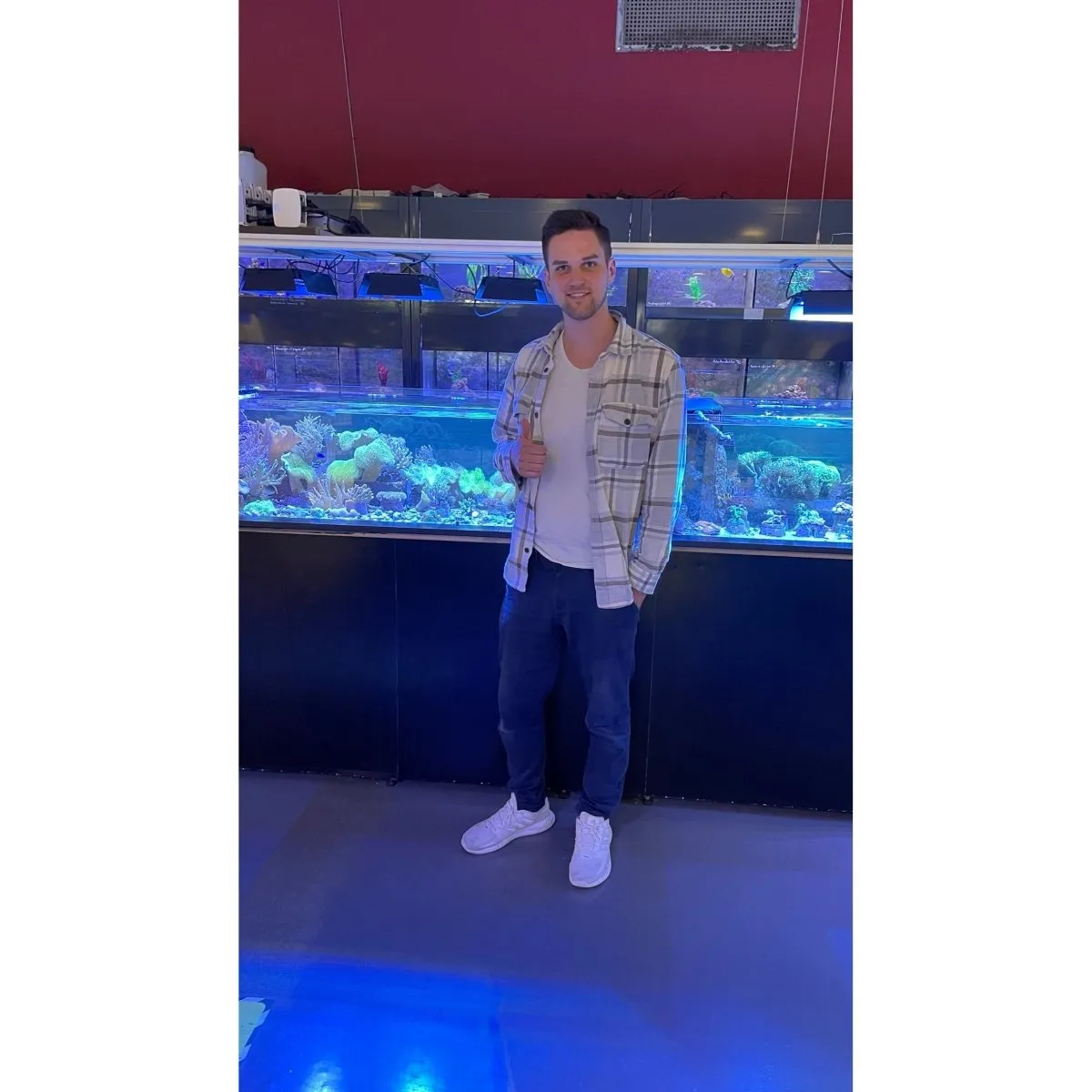 Garnelen TV Akvarieskötsel service 60 liter