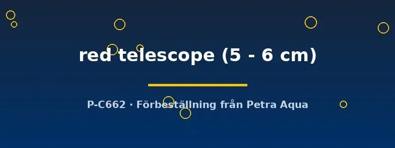 Näsets Ciklidhobby red telescope 5–6 cm guldfisk kallvatten