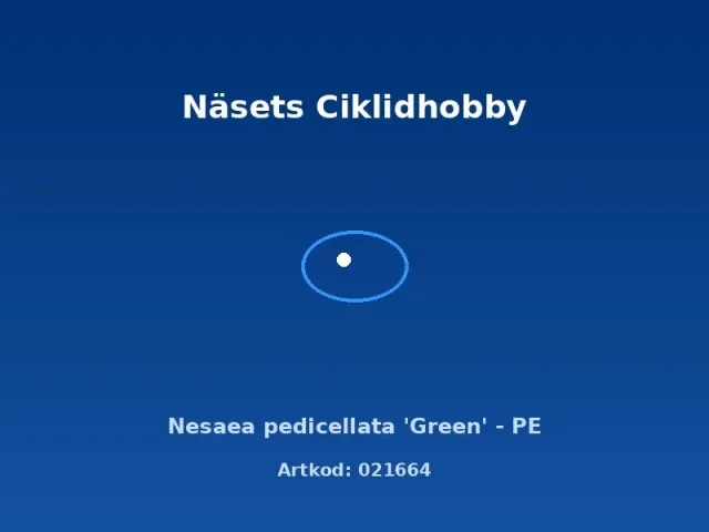Näsets Ciklidhobby Nesaea pedicellata Green akvarieväxt PE