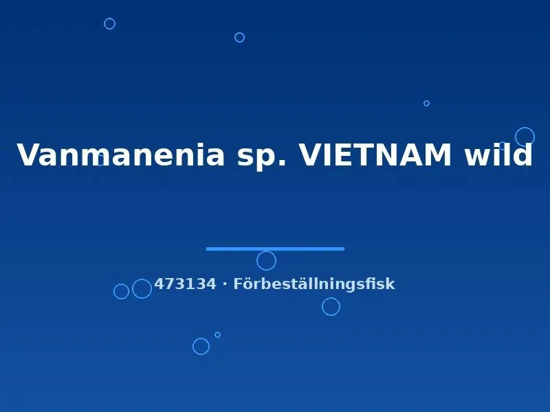 Näsets Ciklidhobby Vanmanenia sp. Vietnam fisk 8–10 cm