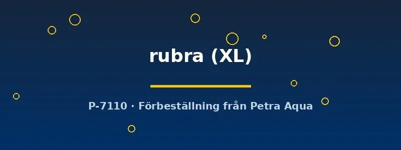 Näsets Ciklidhobby Toba betta rubra kampfisk XL vildform