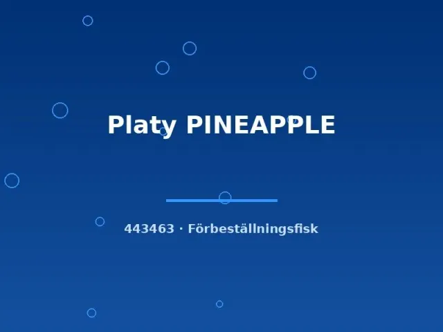 Näsets Ciklidhobby Platy Pineapple lg akvariefisk