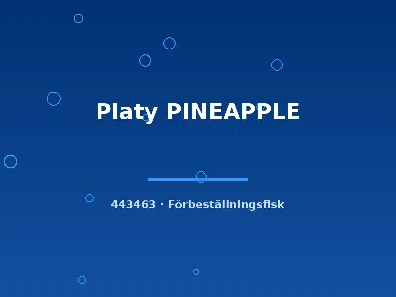 Näsets Ciklidhobby Platy Pineapple lg akvariefisk