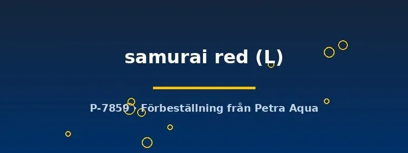 Näsets Ciklidhobby Betta samurai red kampfisk hane L