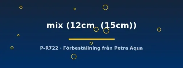 Näsets Symphysodon mix diskusfisk 12–15 cm