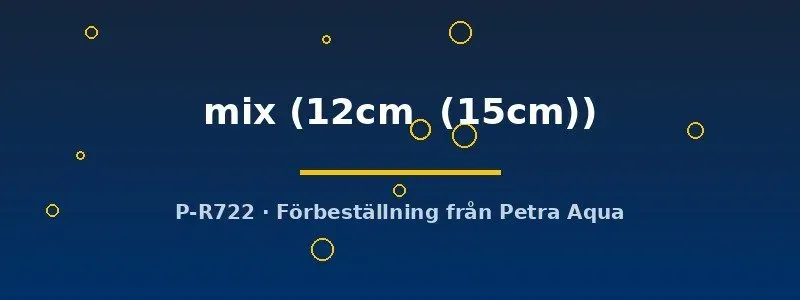 Näsets Symphysodon mix diskusfisk 12–15 cm